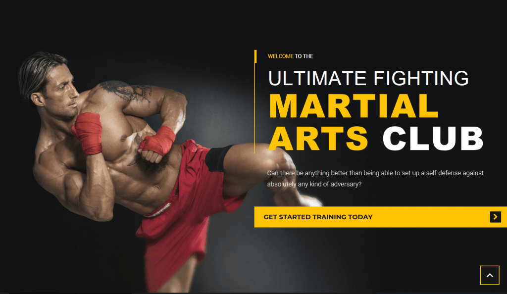 Martial Arts WordPress Theme
