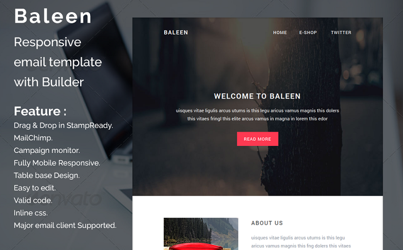 Baleen - Responsive email template Newsletter Template