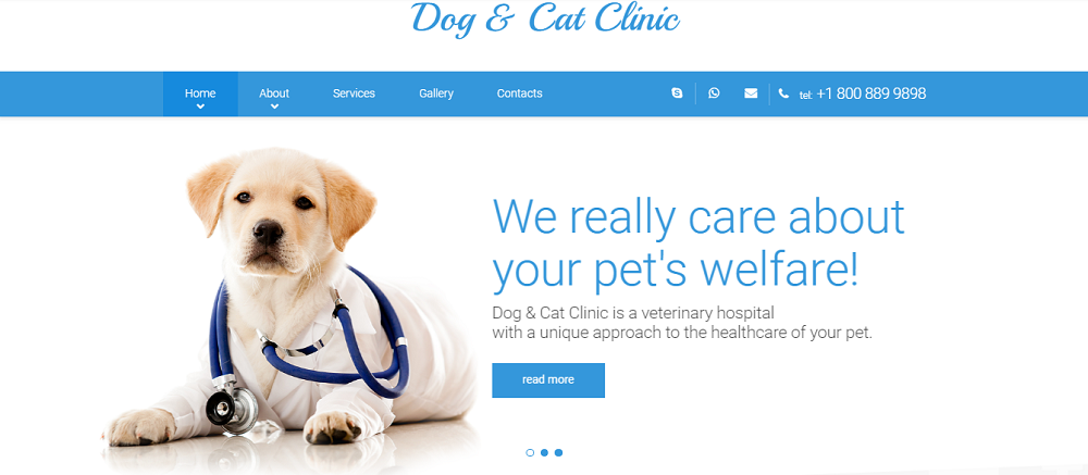 狗猫诊所网站模板