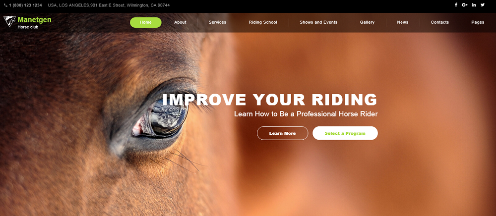 Manetgen -骑马响应多页网站模板
