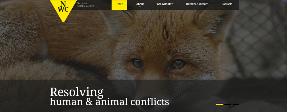 野生动物响应网站模板