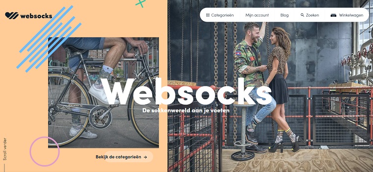 websocks sitio en colores pastel