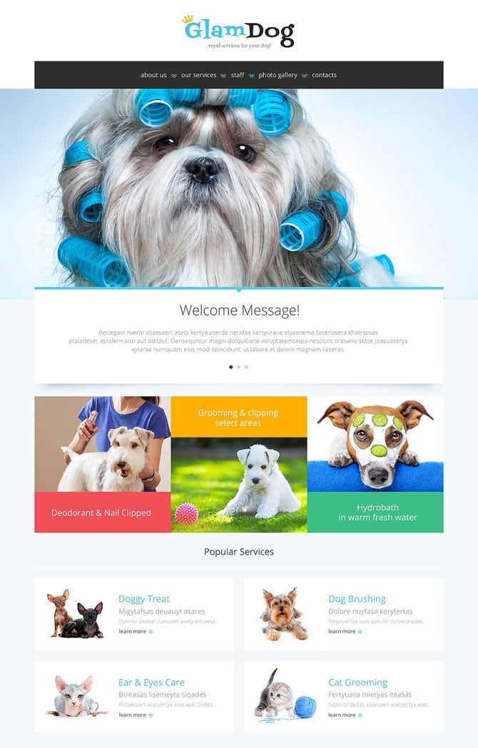 13dog-grooming-website-template