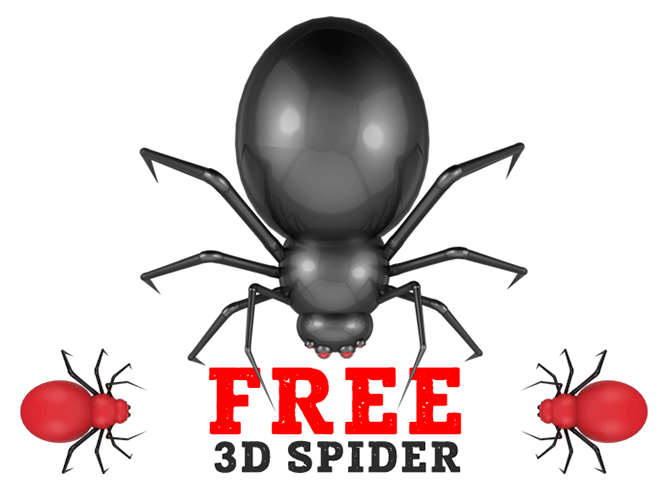 Free-3d-Spider-by-pixaroma