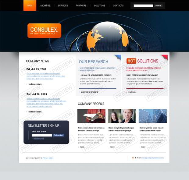 globe graphic in web template - Consulex