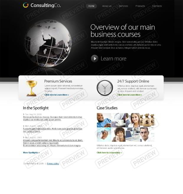 globe web design - ConsultingCo.