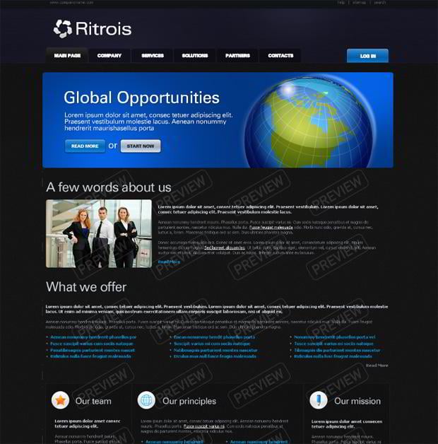 globe graphic in web design - Ritrois