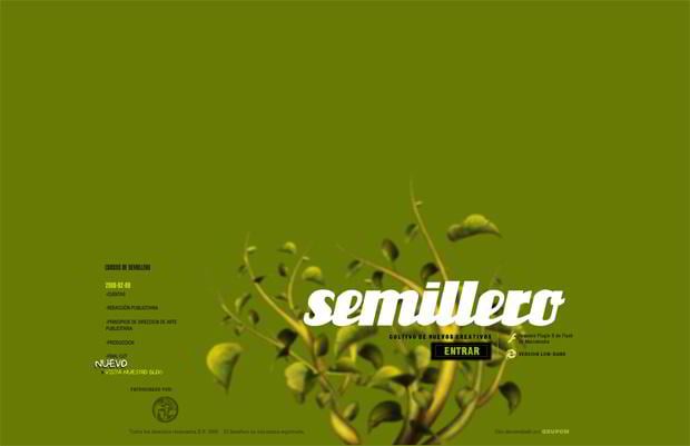 eco flash web design - Semillero.net