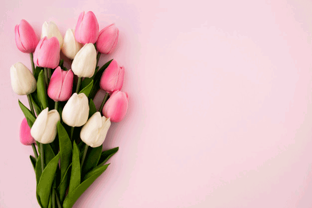 -bouquet-pink-background-with-copyspace