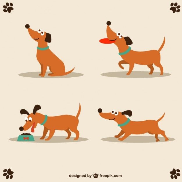 Dog vector cute character design