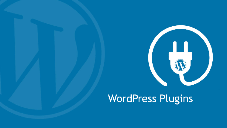 WordPress backup plugin.