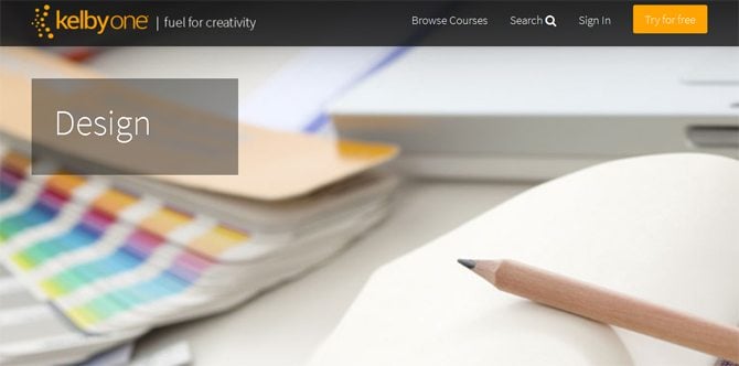  best online website design courses
