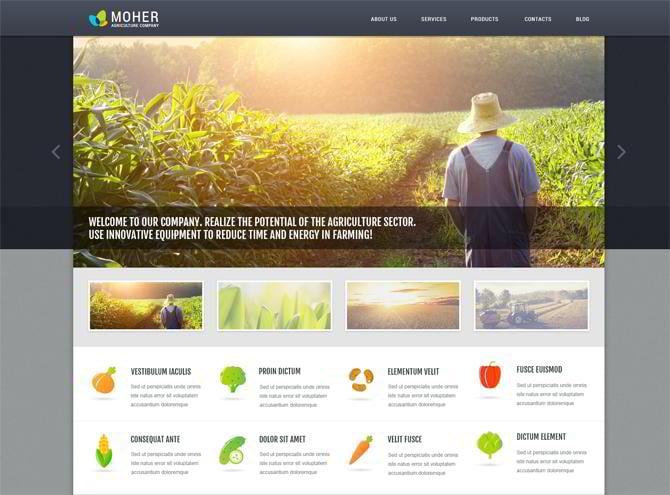 Agriculture-Business-WordPress-Theme
