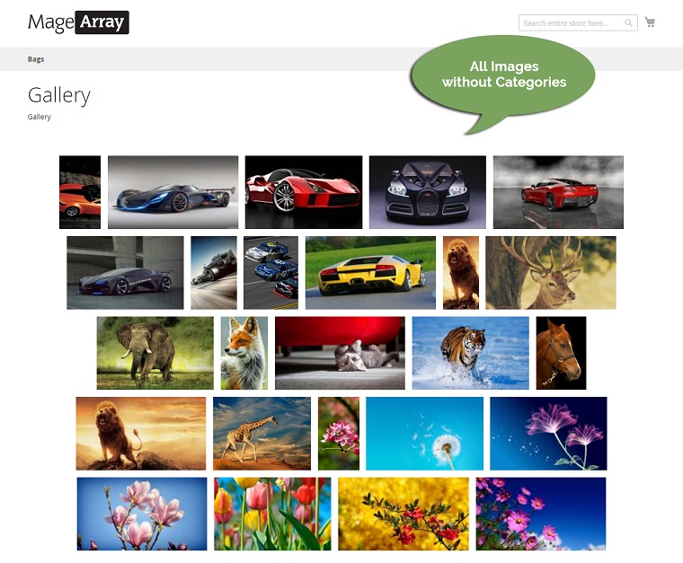 Image Gallery.