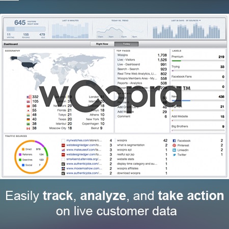 Woopra Analytics Event & Visitor Tracking.