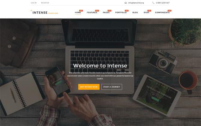 Intense multipurpose HTML5 template