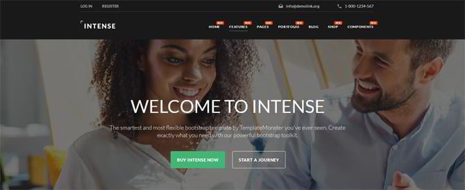 Intense multipurpose HTML5 template