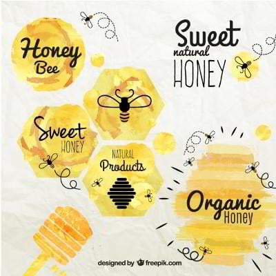 Honey and Bee badges in watercolor style