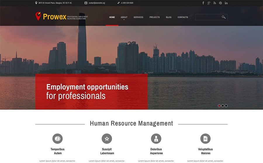 Professional Employment WordPress Theme