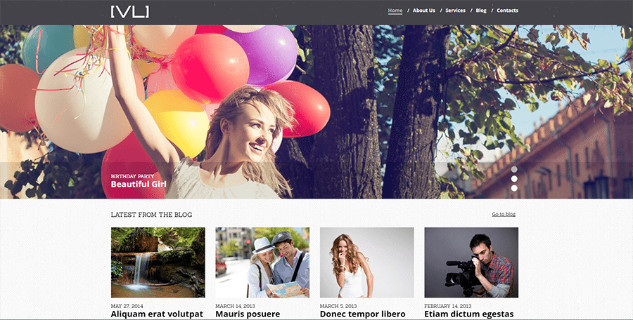 Happy Moments Photo and Video Gallery WordPress Theme