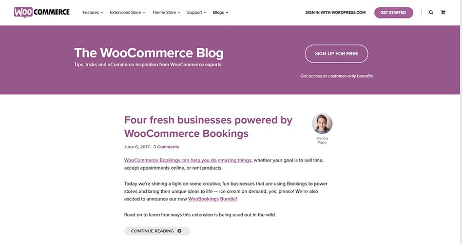 WordPress Blog WooCommerce