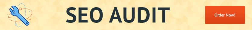 website seo audit