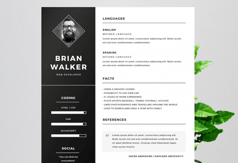 65 Free Resume Templates Microsoft Word [Best of 2024 ]