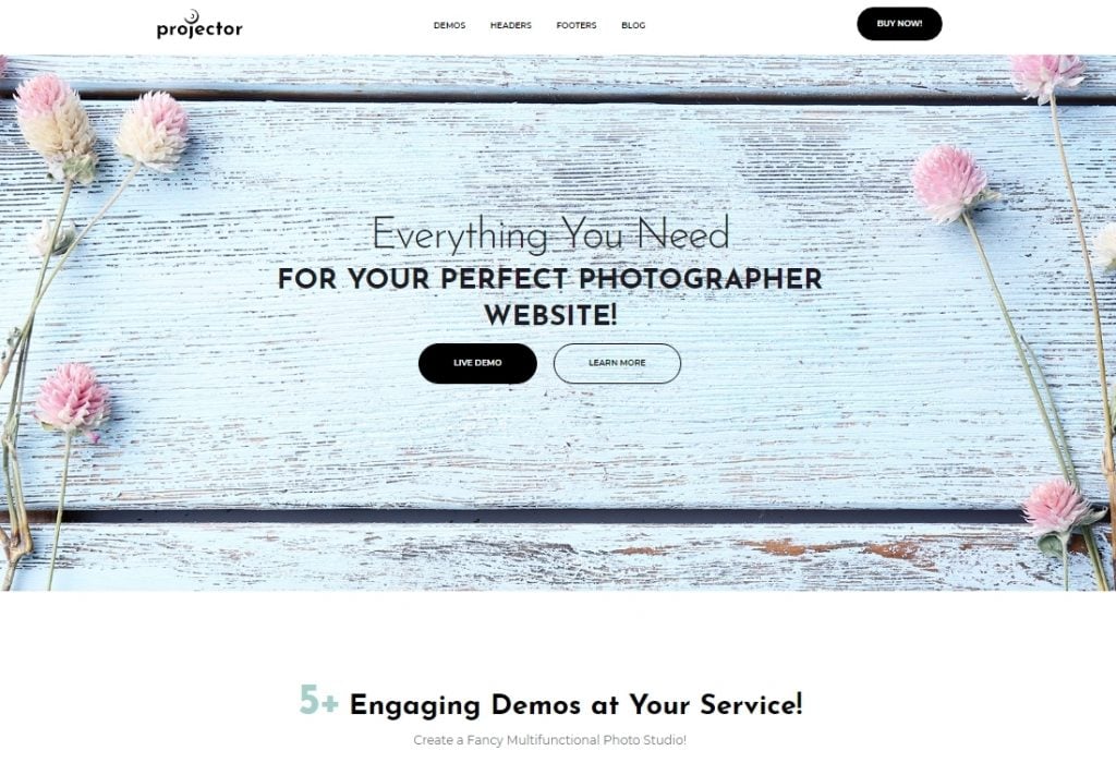 Projector - Photographer Portfolio Multihome WordPress Theme