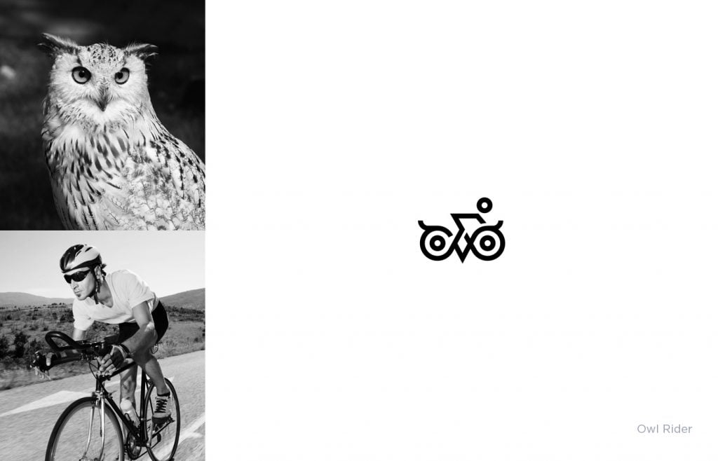 Owl Rider