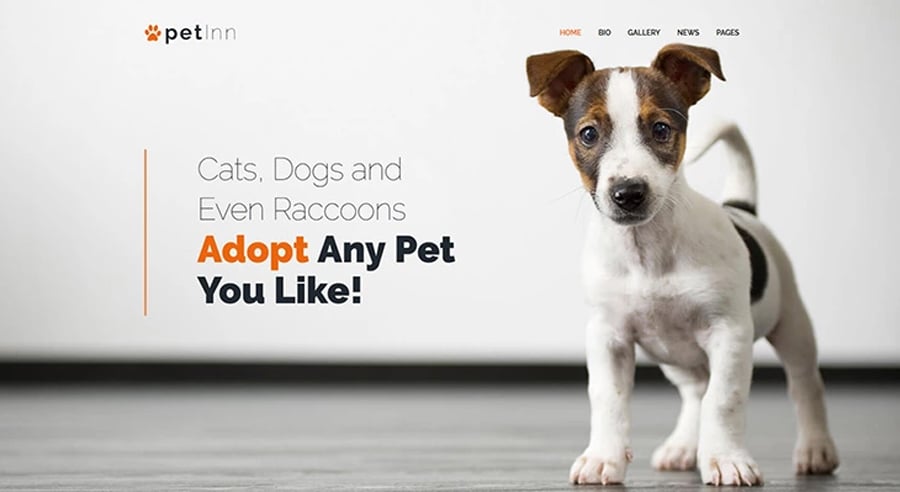 Pets Charity Free WP Theme