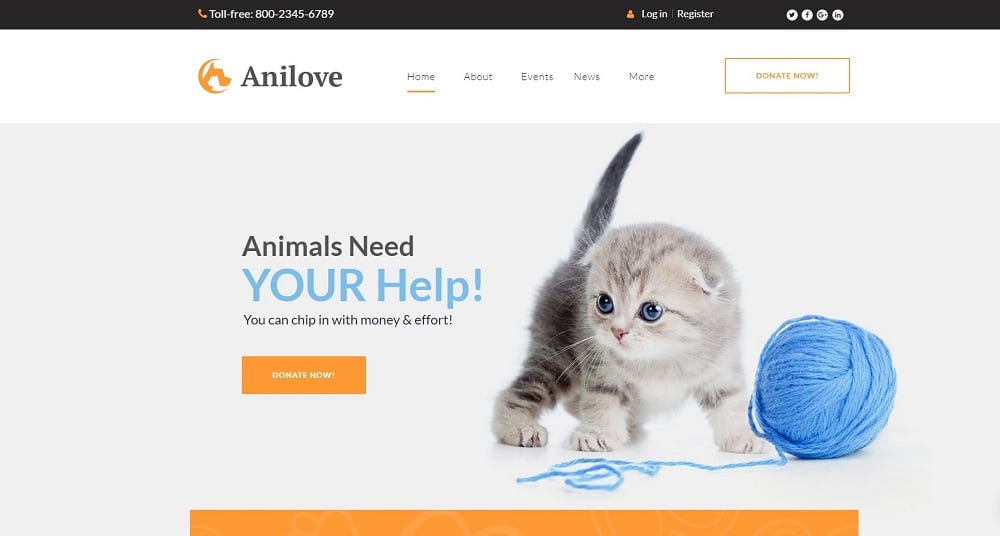 Anilove WordPress Theme