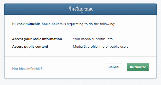 instagram business accounts