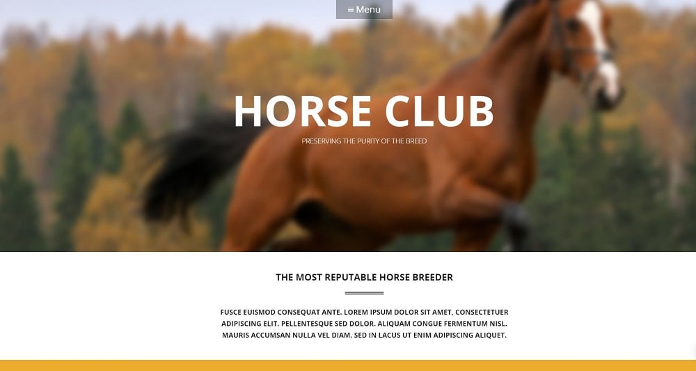 Luxury Horse Breed Care WordPress Theme