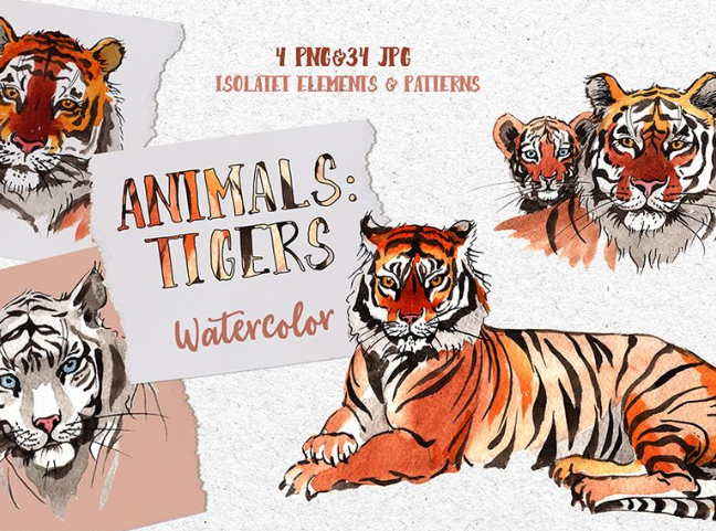 Animals: Tigers Watercolor Png Illustration