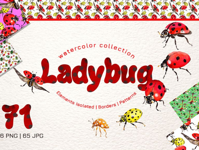 Ladybug Watercolor png Illustration