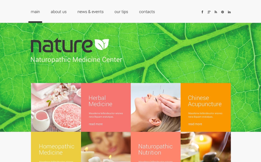 Herbal Responsive Website Template