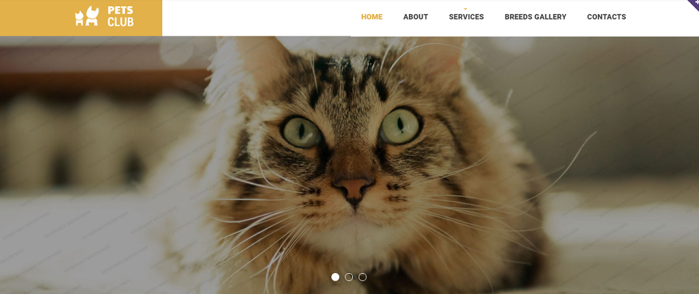 Animals & Pets Responsive Website Template