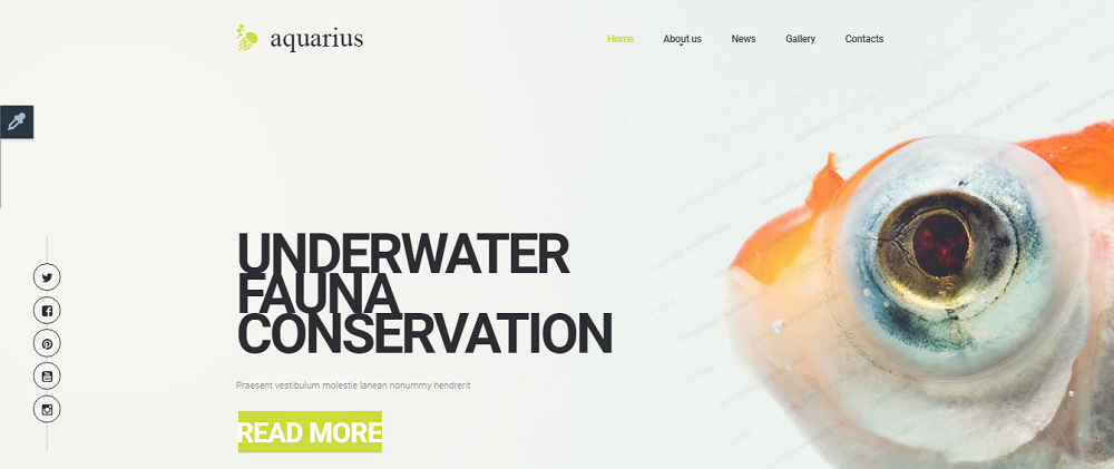 Aquarius Website Template