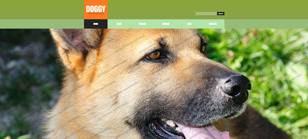 Dog Responsive Website Template