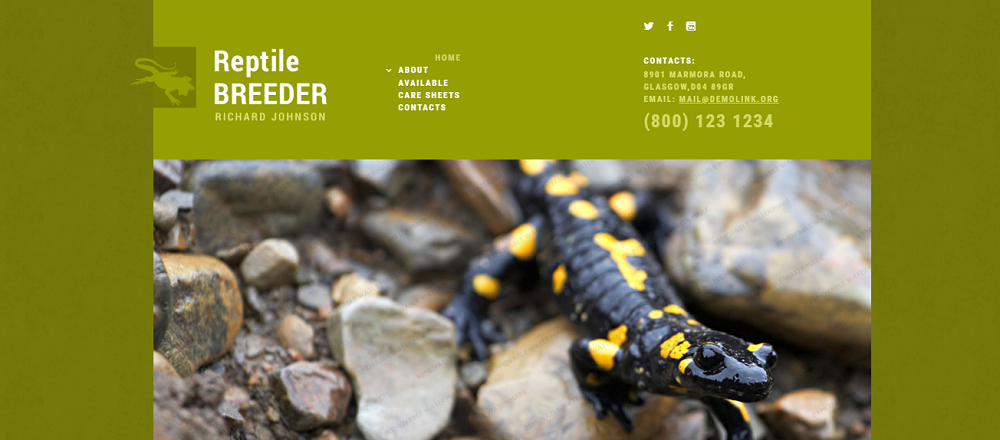 Exotic Pets Responsive Website Template