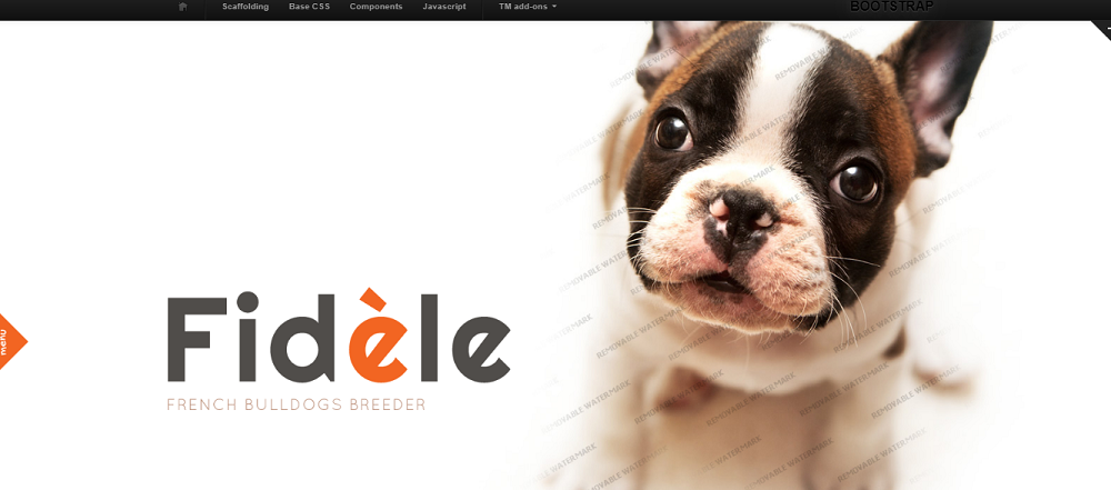 Dog Website Template