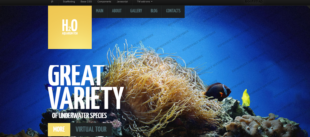 Fish Website Template