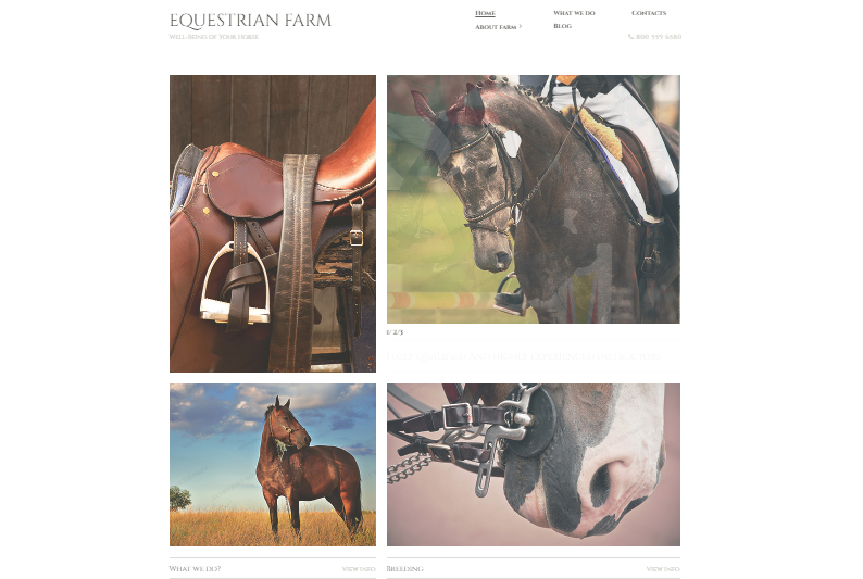 Horse Responsive Website Template