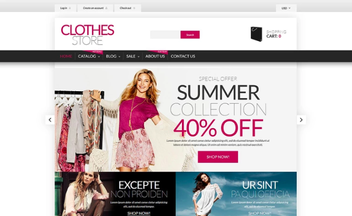 Shopping in Style Shopify Theme