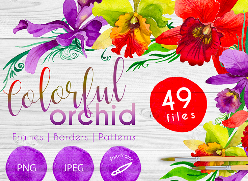 Colorful Orchid PNG Watercolor Set Illustration