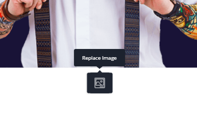 replace image