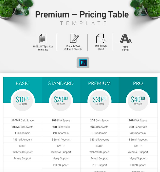 Domain - Pricing Table Infographic Elements