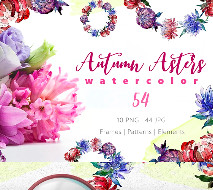 Autumn Asters Watercolor Png Illustration
