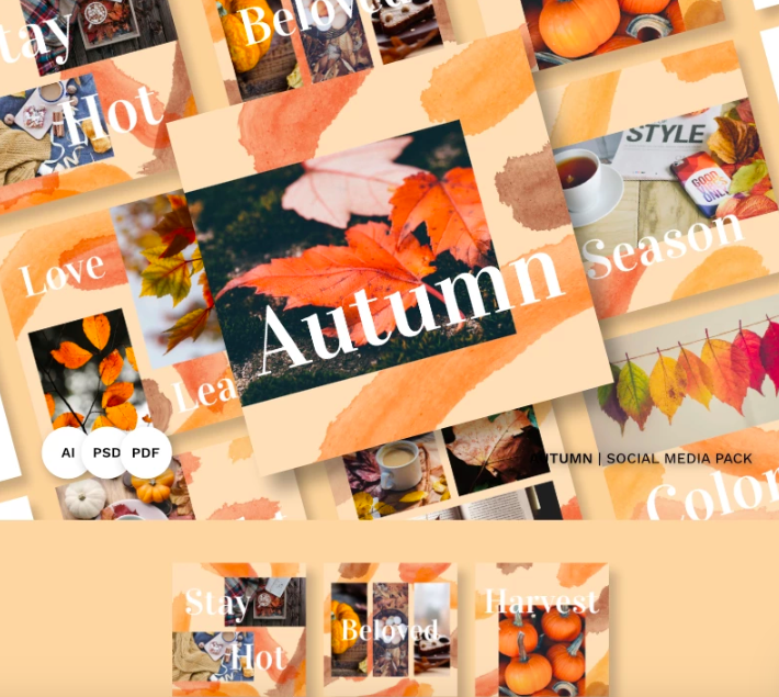 Autumn Pack Social Media