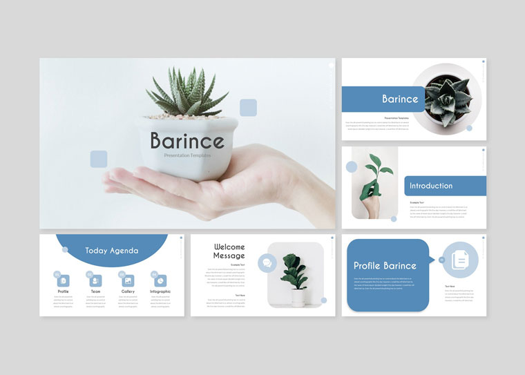 BARINCE PowerPoint Template.